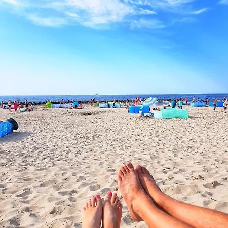 Standard 2 다르워보