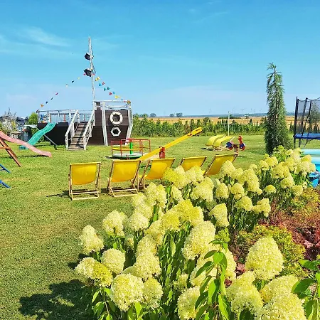 Standard 2 다르워보