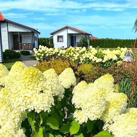 Domek Standard 2 Holiday home