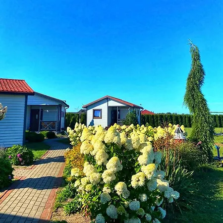 Standard 2 * 다르워보