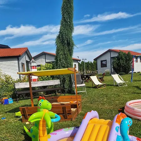 Standard 2 * 다르워보